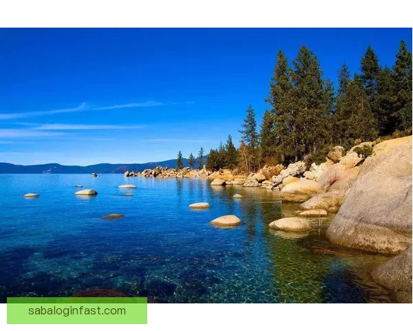 拉拉维亚谈全勤目标 能保持健康是最大的能力